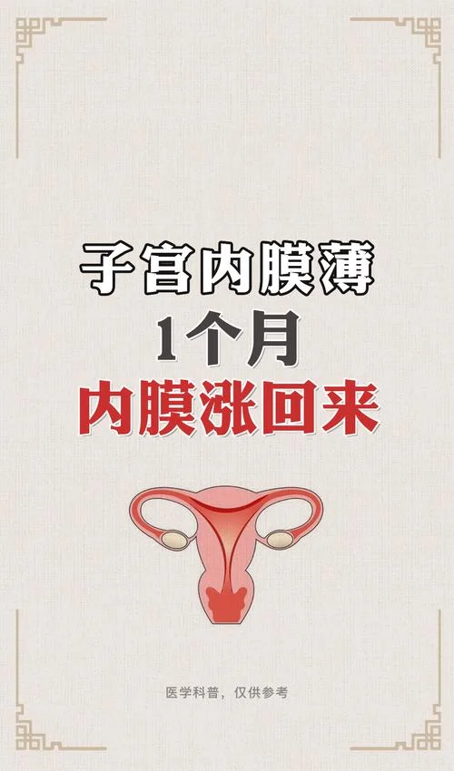 内膜形态是长什么样的_1