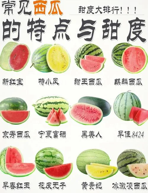 周公解梦梦见西瓜大全_1