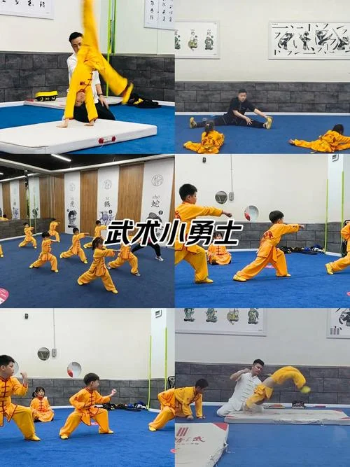 怎么才能学武术_1