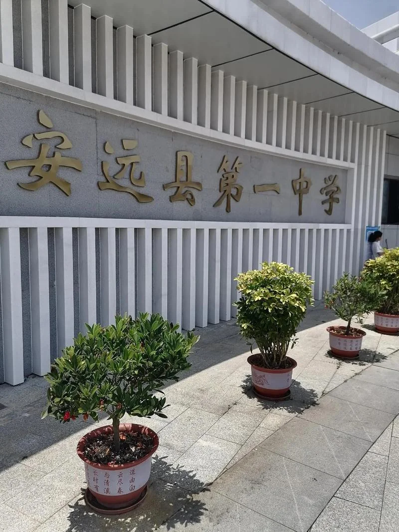 安徽省贵池中学高考-安徽贵池中学高考
