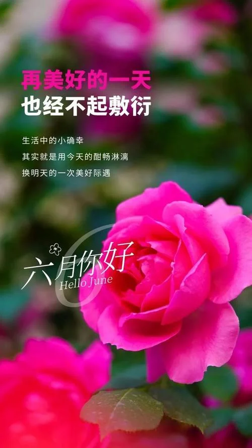 6月你好的感悟-6 月感悟“你好”