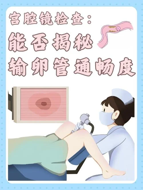 输卵管不通如何查_1