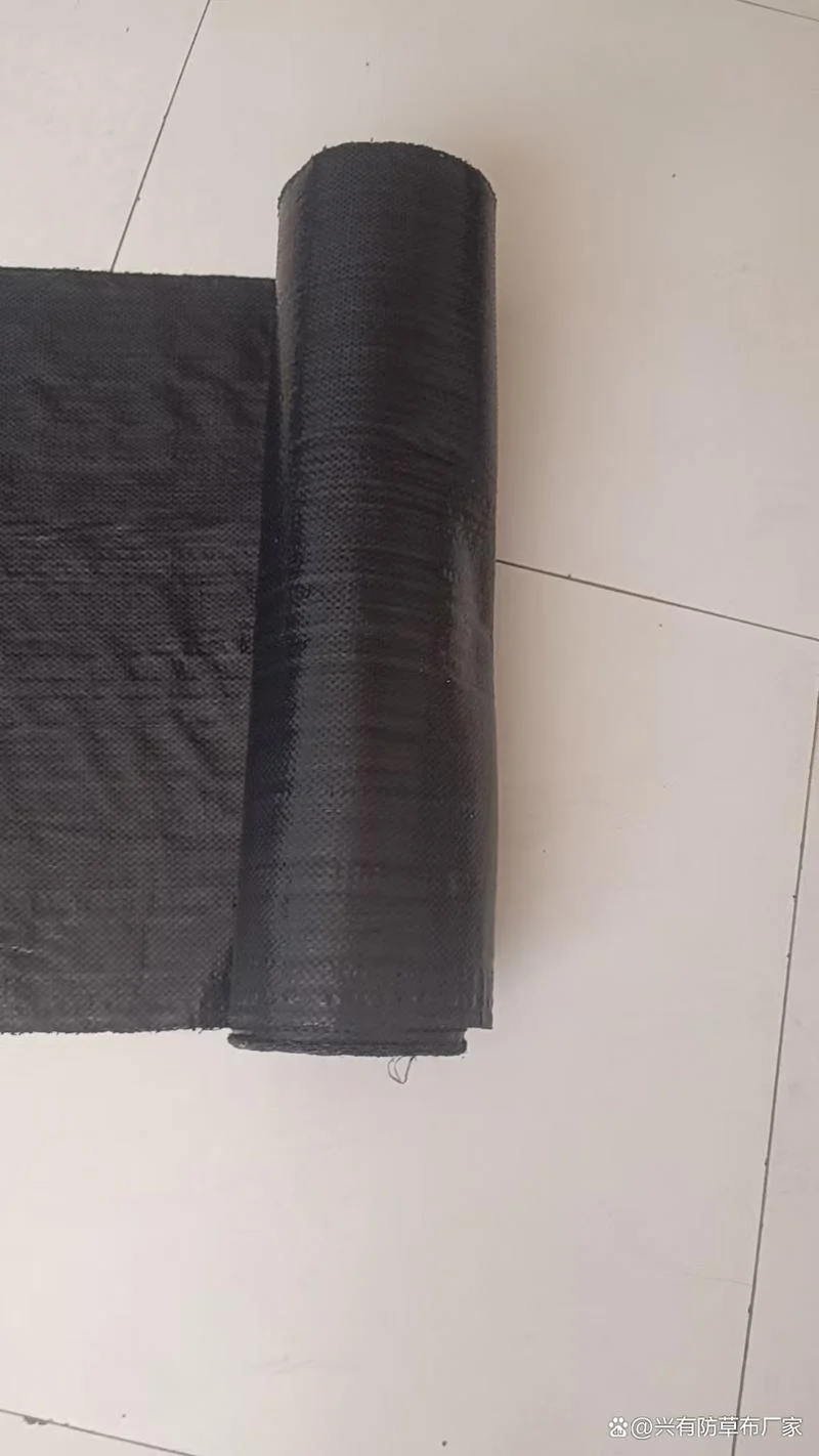 防草布一亩多少钱成都_1
