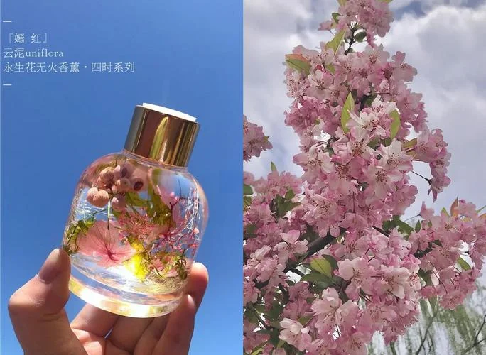 香薰精油的用法出处_1