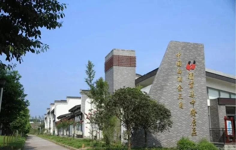 黄舣镇酒业历史_1