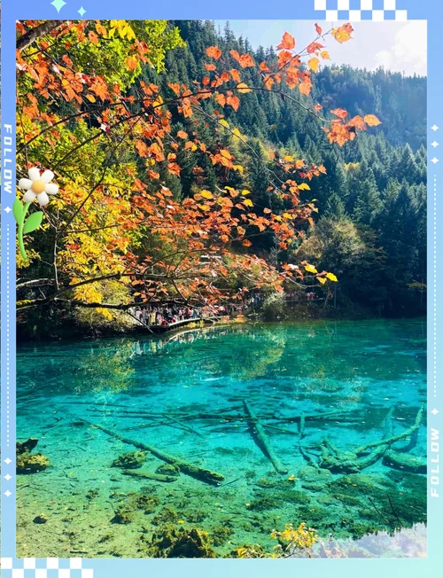 10月旅游必去景点_1