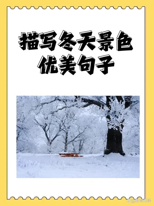 冬天的唯美句子说说_1