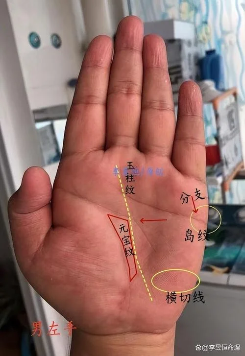 25岁发大财手相_1