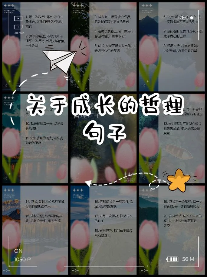 讲的道理好的句子_1