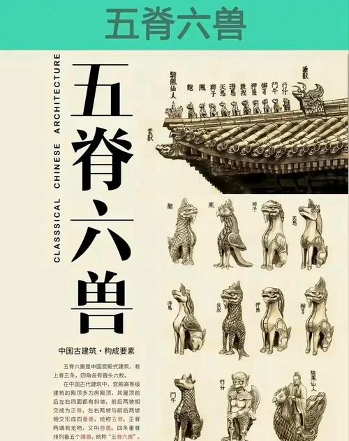 龙五儿子叫什么_2