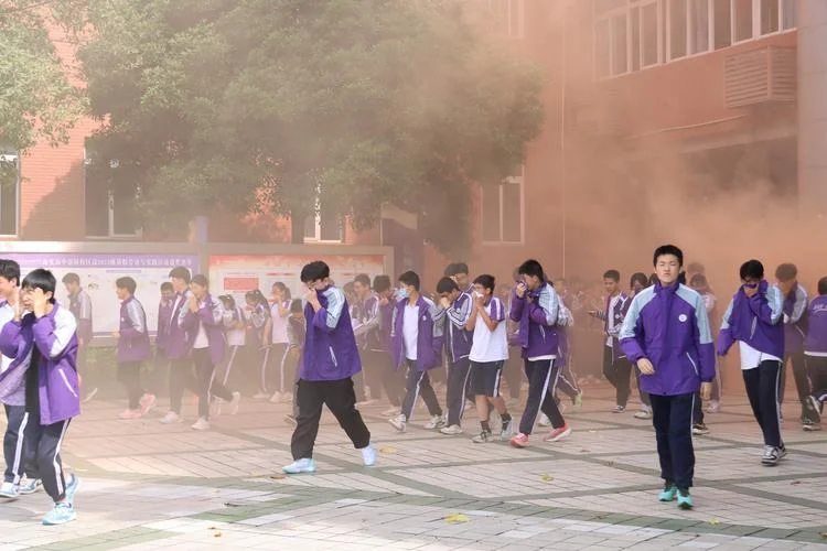 南充市高级中学校花-南充市高级中学校花