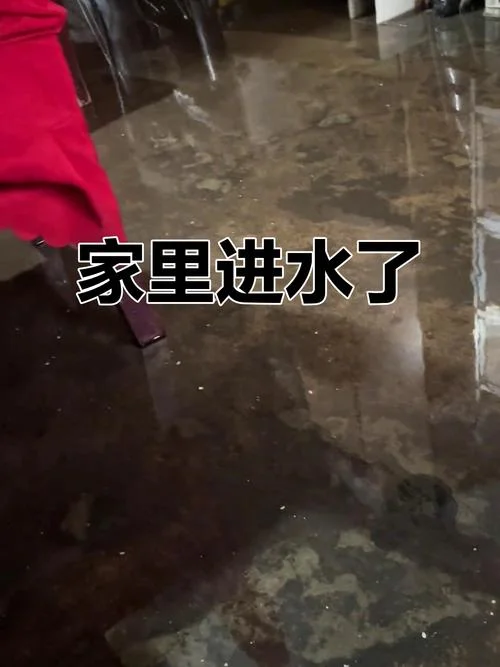 梦见家里进水_1