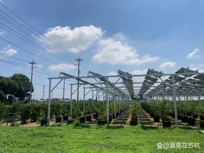 怎么建一个农场-农场搭建指南