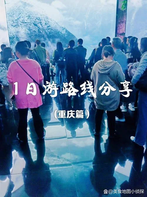 重庆一日游被骗_2