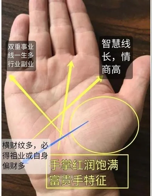 手相手虎找手兔好吗-手相找虎兔好？