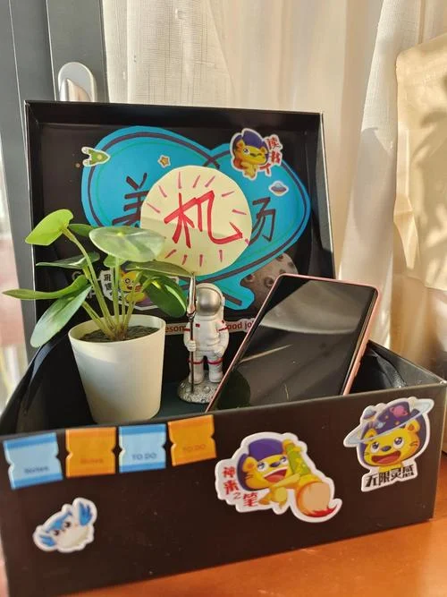 家庭养机场总结感悟_2