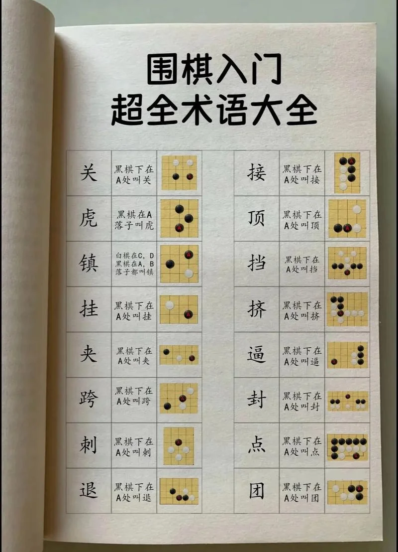 怎么学下围棋-下围棋有何法