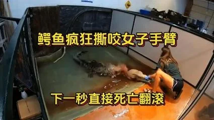 梦到鳄鱼咬自己_1