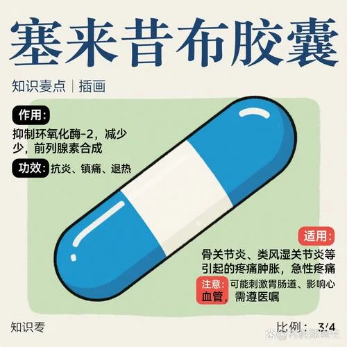 塞来昔布别名叫什么_1