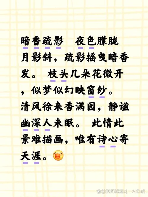 暗香疏影出处和意思_2