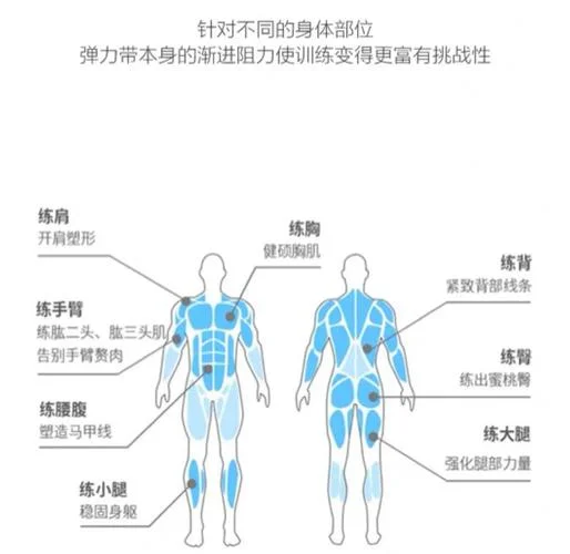 怎么练弹跳力中学生_1