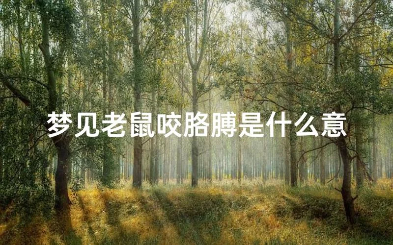 梦见好多老鼠什么意思_1