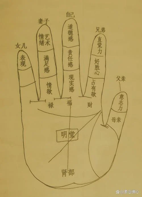 算命看手相的违法嘛_1