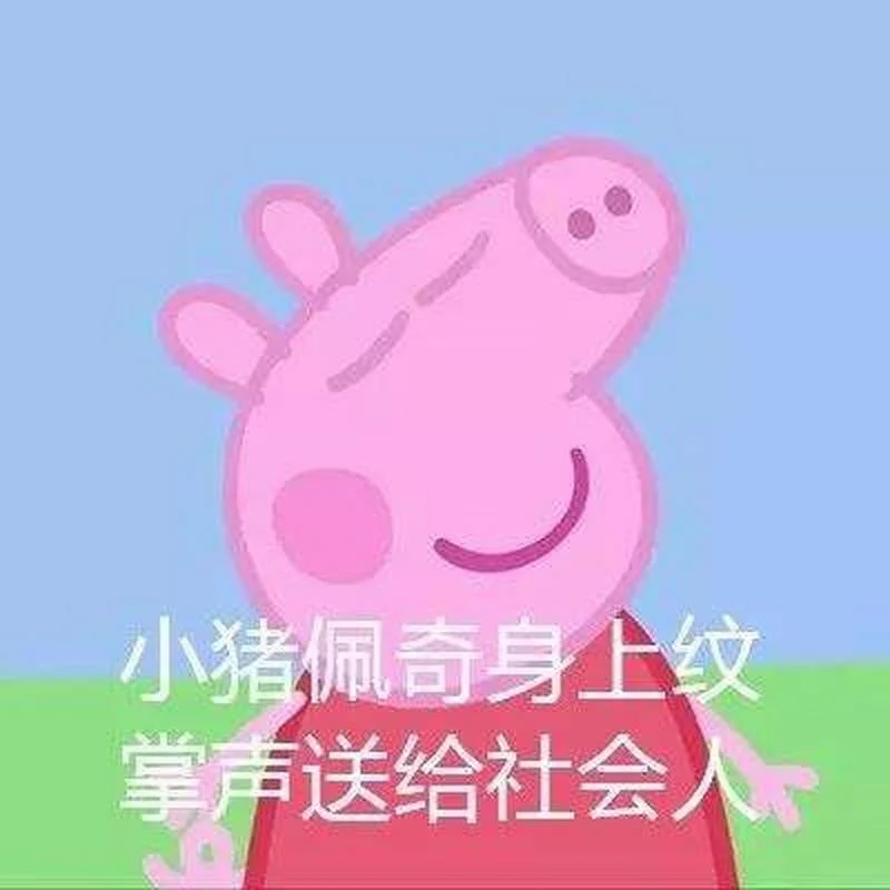 野猪佩奇身上纹下一句_1