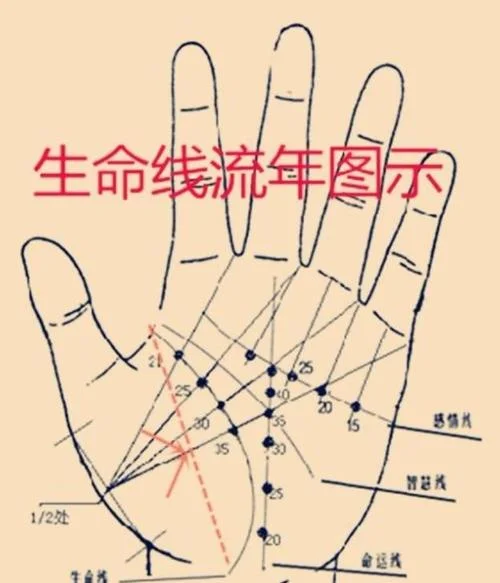 双鱼纹手相图解_2