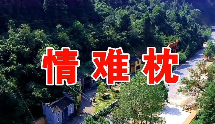 年少不识曲中意出处_2