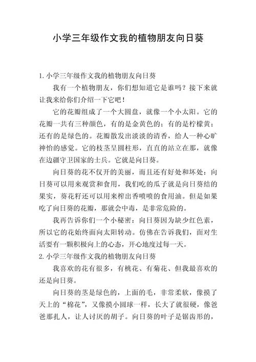 向日葵作文300字怎么写_2