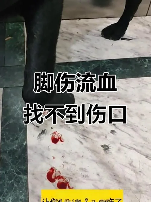 女人梦见自己脚流血_1
