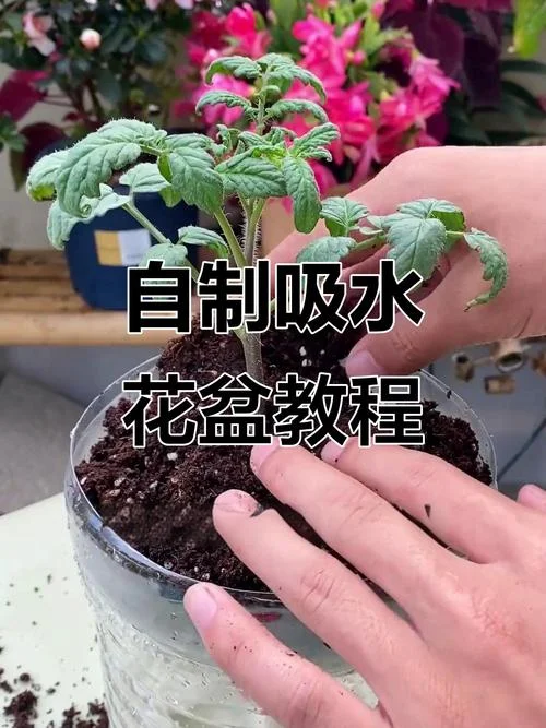 种花的酵素怎么做_1