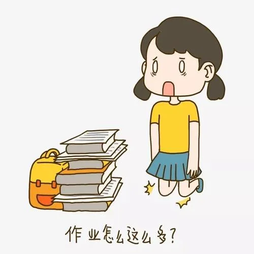 不做作业但是成绩好_1