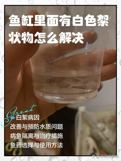 絮状物是什么意思_2