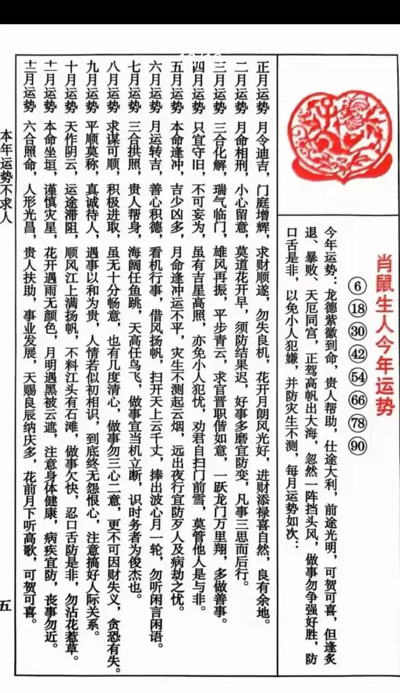 今年生肖鼠的运势如何-鼠运今年如何