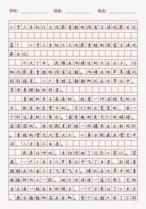 青蛙作文400字五年级说明文-