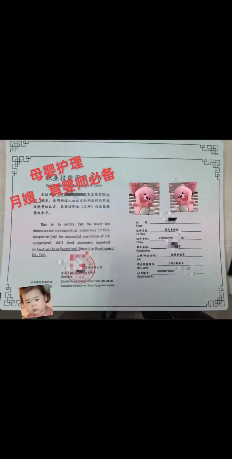 怎么查产后修复证书_1