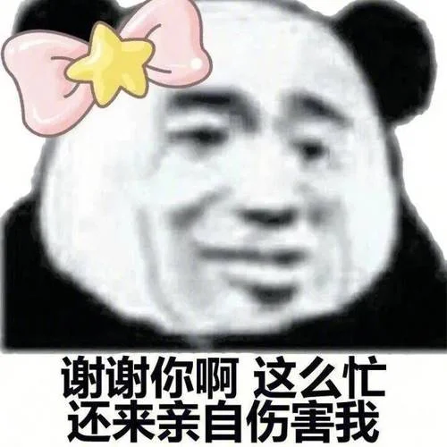 熊猫 表情 出处_1