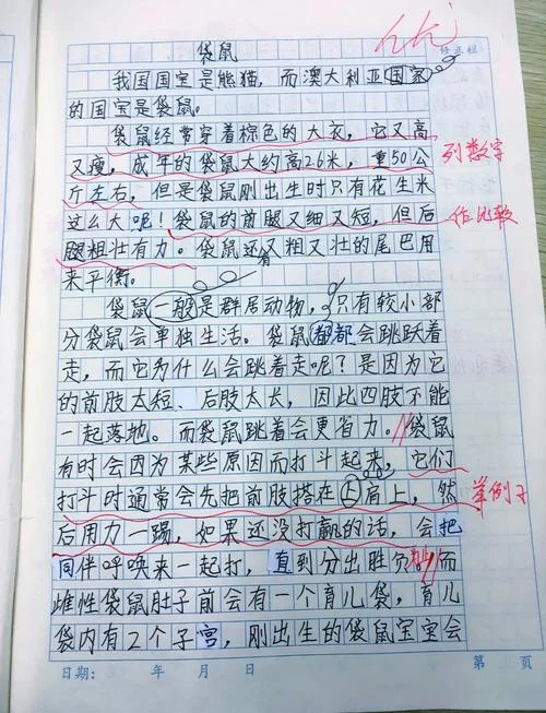 如何去写好说明文作文_1