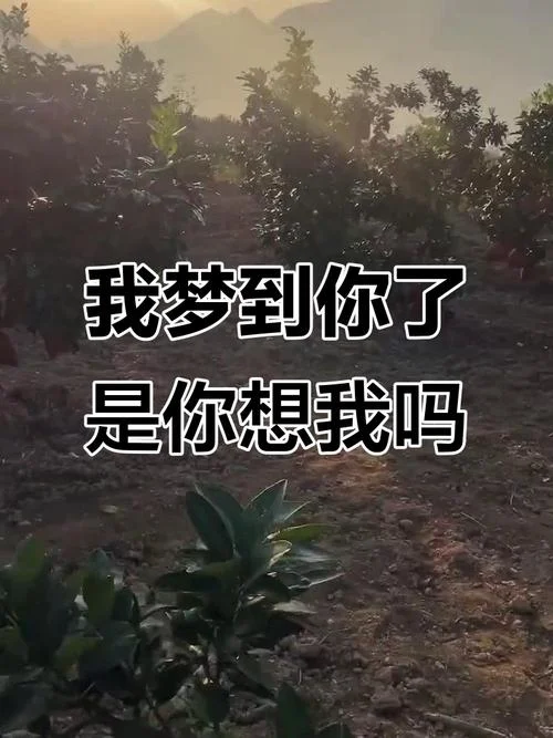 梦见了你-梦见你的梦