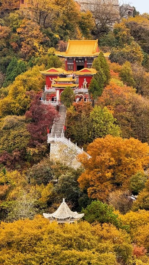 南京重阳节免费景点_1