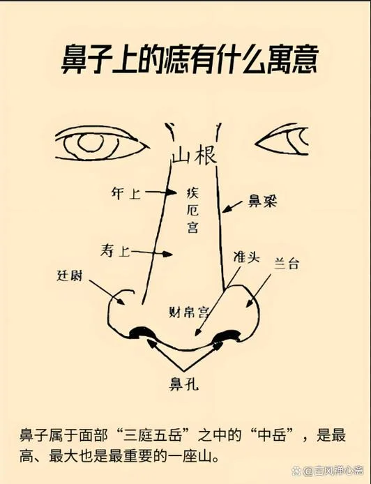 没财运的面相_1