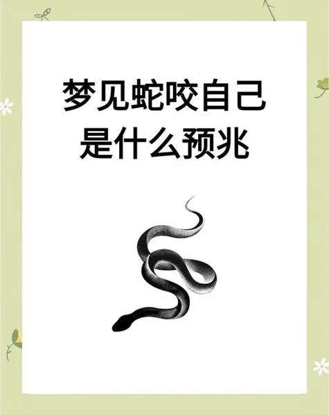 梦见很多蛇咬我是什么预兆 女性-女梦群蛇咬身何兆