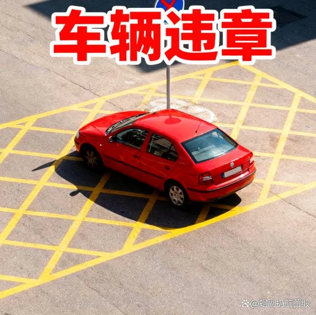 查交通违章在哪里查_2