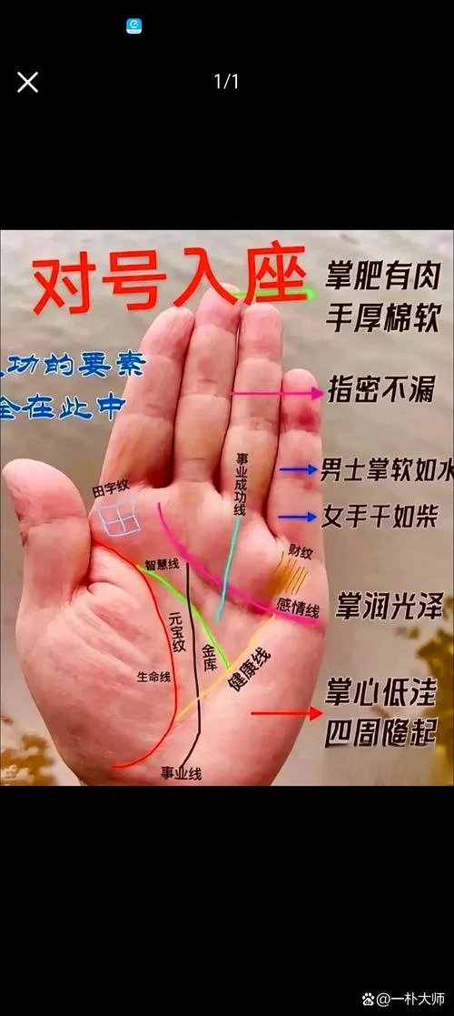 四条线的手相图解视频-四条线手相图解视频