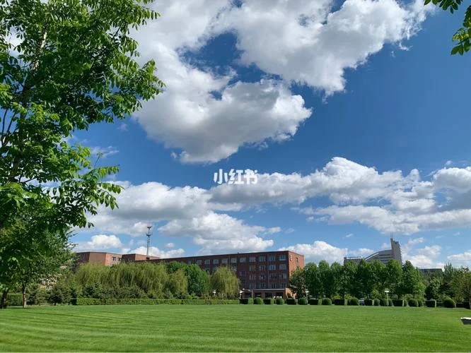长春动漫学院在哪个区-长春动漫学院在朝阳区