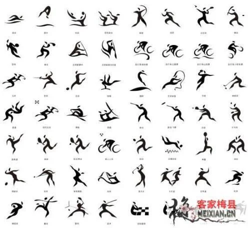 奥运会体育项目分类_2