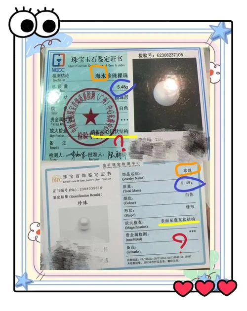 证书真伪查询_1
