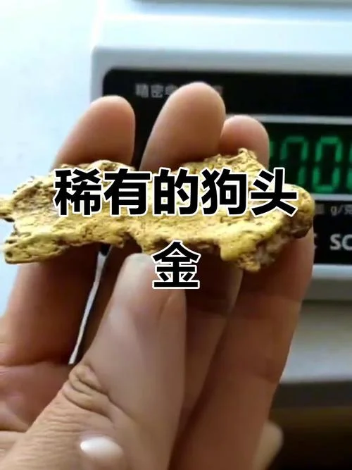 什么是狗头金_1